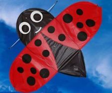 Buzzer bug ladybird kite