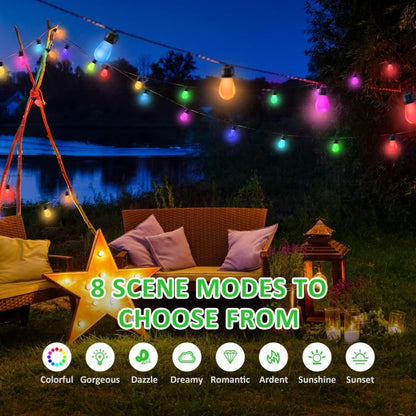 Garden campsite multi-function and multi-colour festoon lights 12v&240v