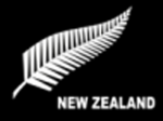 New Zealand Fern Flag 5ft x3ft