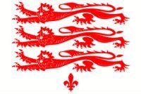 Dorset flag ( old style )