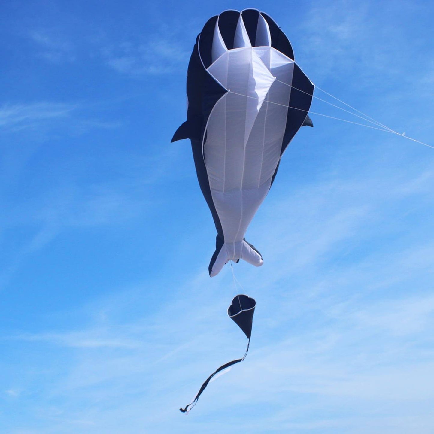 Wolkensturmer Willy the whale 3d foil kite