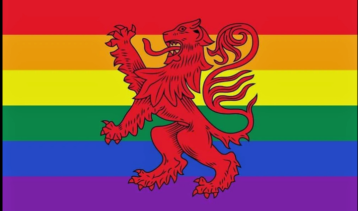 Rainbow lion , Scotland lion flag 5ft x 3ft with eyelets
