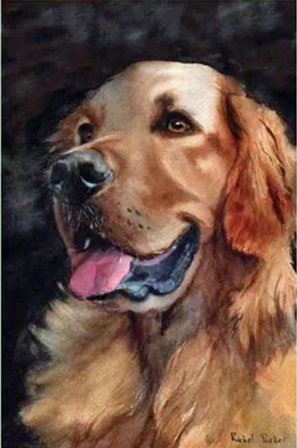 Retriever Golden retriever banner / house flag