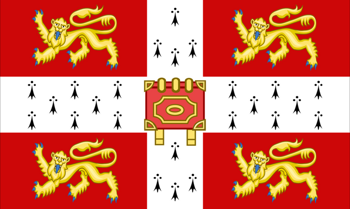 University of Cambridge flag Cambridge university 5ft x 3ft with eyelets