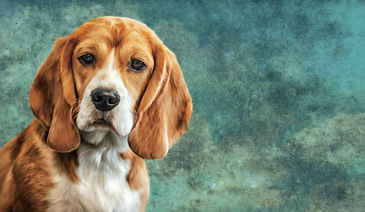 Beagle dog polyester flag 5ft x 3ft with eyelets