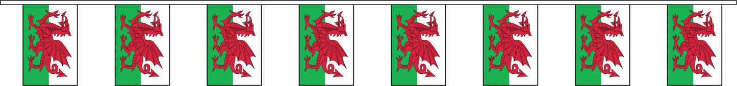 Wales-Flagge 9m