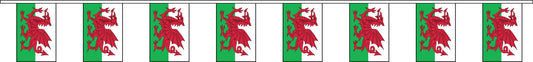 Wales bunting 9m