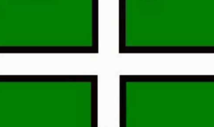 Devon flag 5ft x 3ft