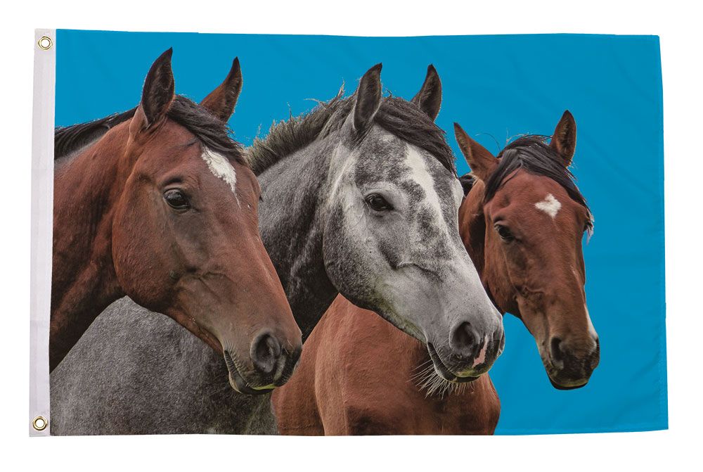 Horses flag 5ft x 3ft