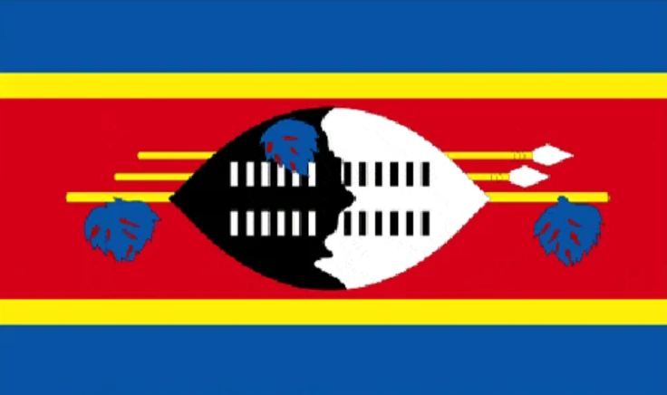Swaziland (Eswatini) flag 5ft x 3ft with two eyelets