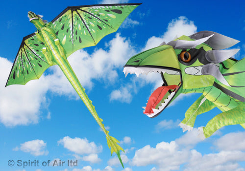 Dragon kite EMERALD GREEN with 195cm wingspan