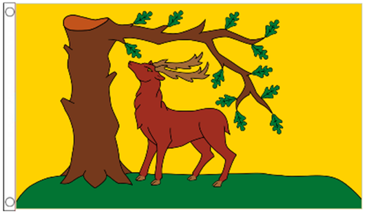 Berkshire-Flagge, 152 x 91 cm, neuer offizieller Stil