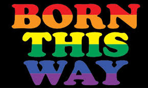 Born this way flag 5x3ft Gay pride