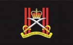 Royal Army physical training Corps flag 5ft x3ft