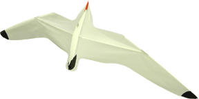 Seagull kite