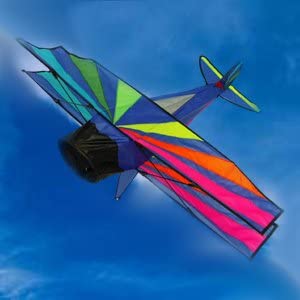 Barnstormer biplane single line kite
