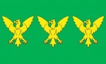 Caernarfonshire flag 5ft x3ft