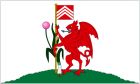 Cardiff flag 5x3ft