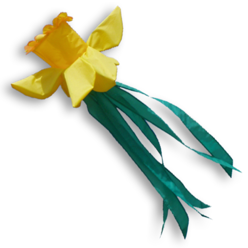 Daffodil windsock