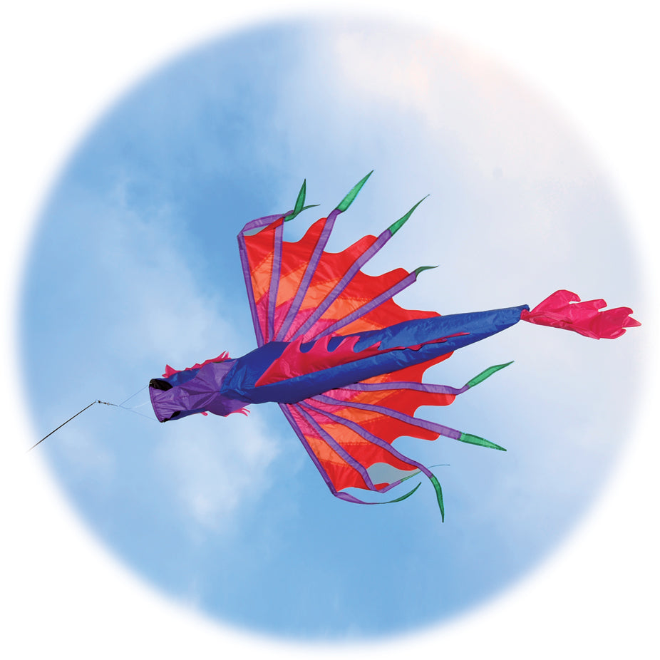 Dragon windsock by Spirit of Air in purple and pink High quality