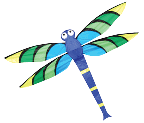 Kite - Dragonfly