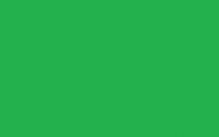 Plain green flag 5ft x 3ft