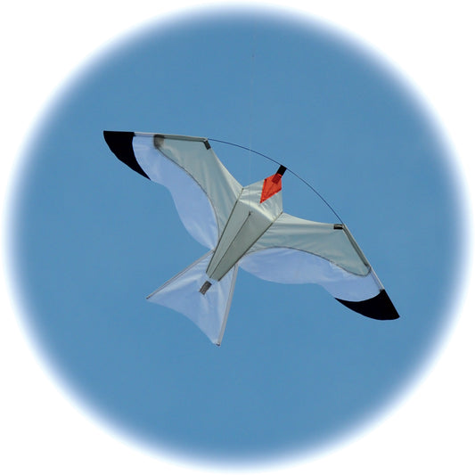Gull kite - great as a bird scarer crop protector and also to fly from a pole