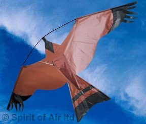 Crop protection kit Hawk kite great as a bird scarer with 5m pole and ground stake