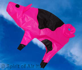 Pig Windsock