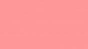 Plain Pink flag 5ft x 3ft