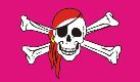 Pink pirate flag 5ft x 3ft