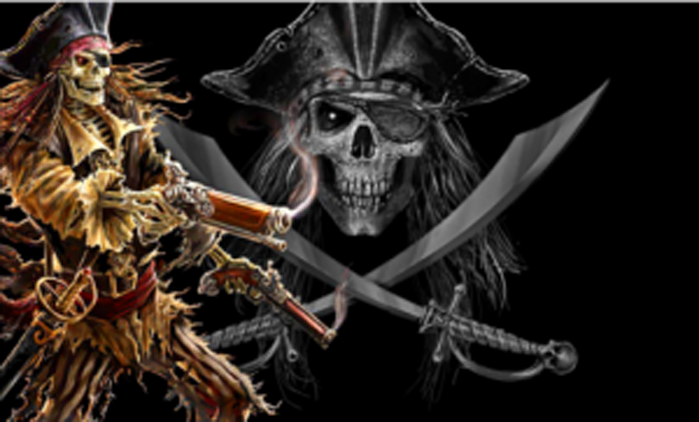 Pirate with gun digitally printed flag 5ft x 3ft high quality