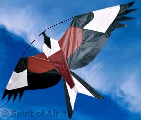 Red kite, realistic kite, bird scarer crop protector , fly from a telescopic flag pole as a windsock