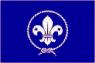 Scouts scouting flag 5x3ft