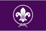 Scouts scouting flag purple 5x3ft