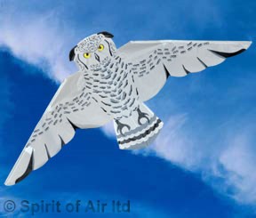Snowy owl kite by Spirit of Air