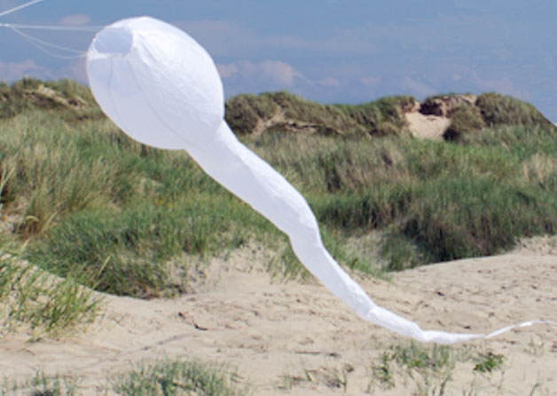Sperm Tadpole windsock 2.4m white