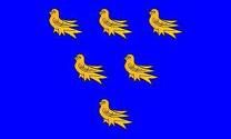 Sussex Flag 5ft x3ft